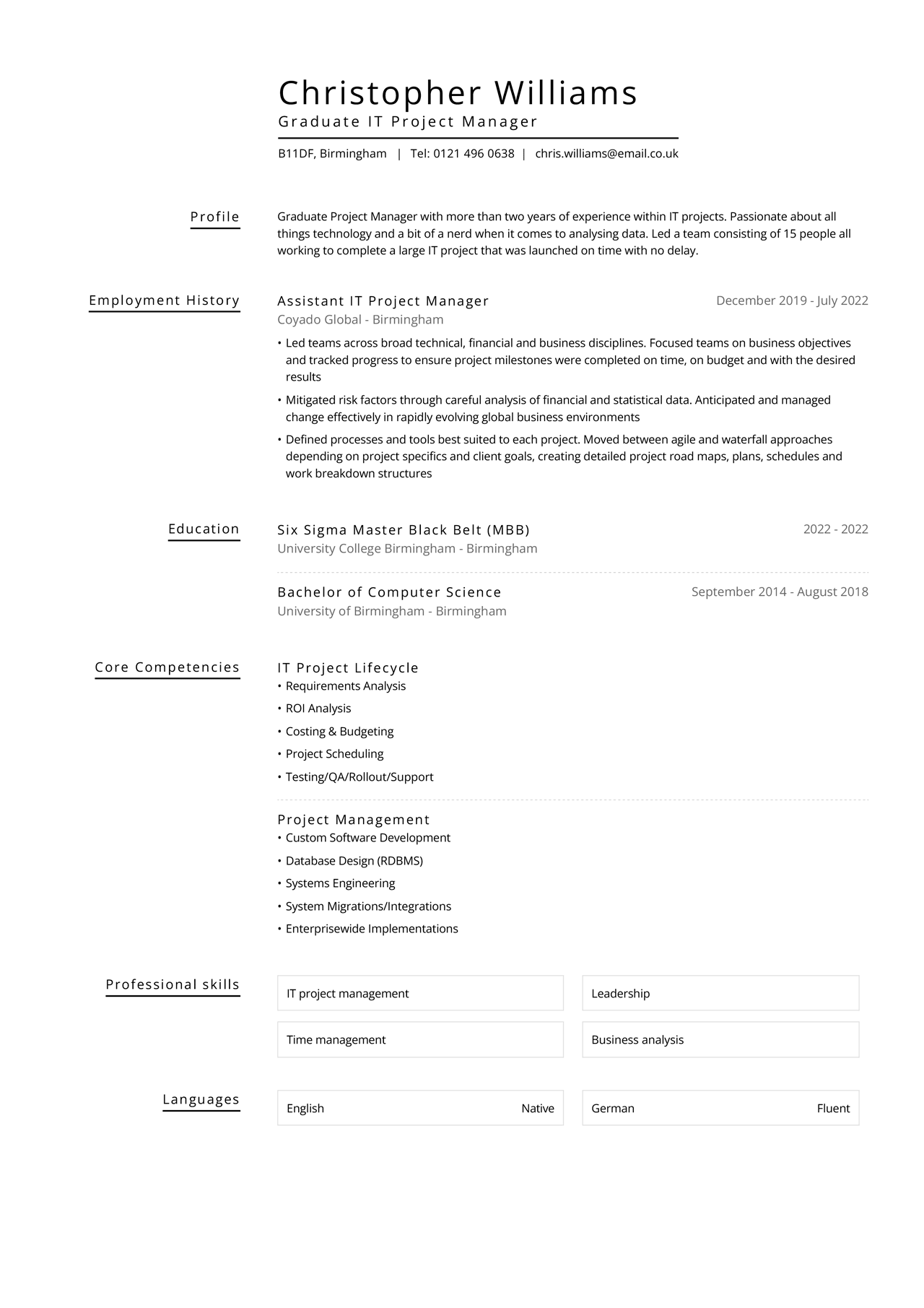 Example of a Project Manager CV