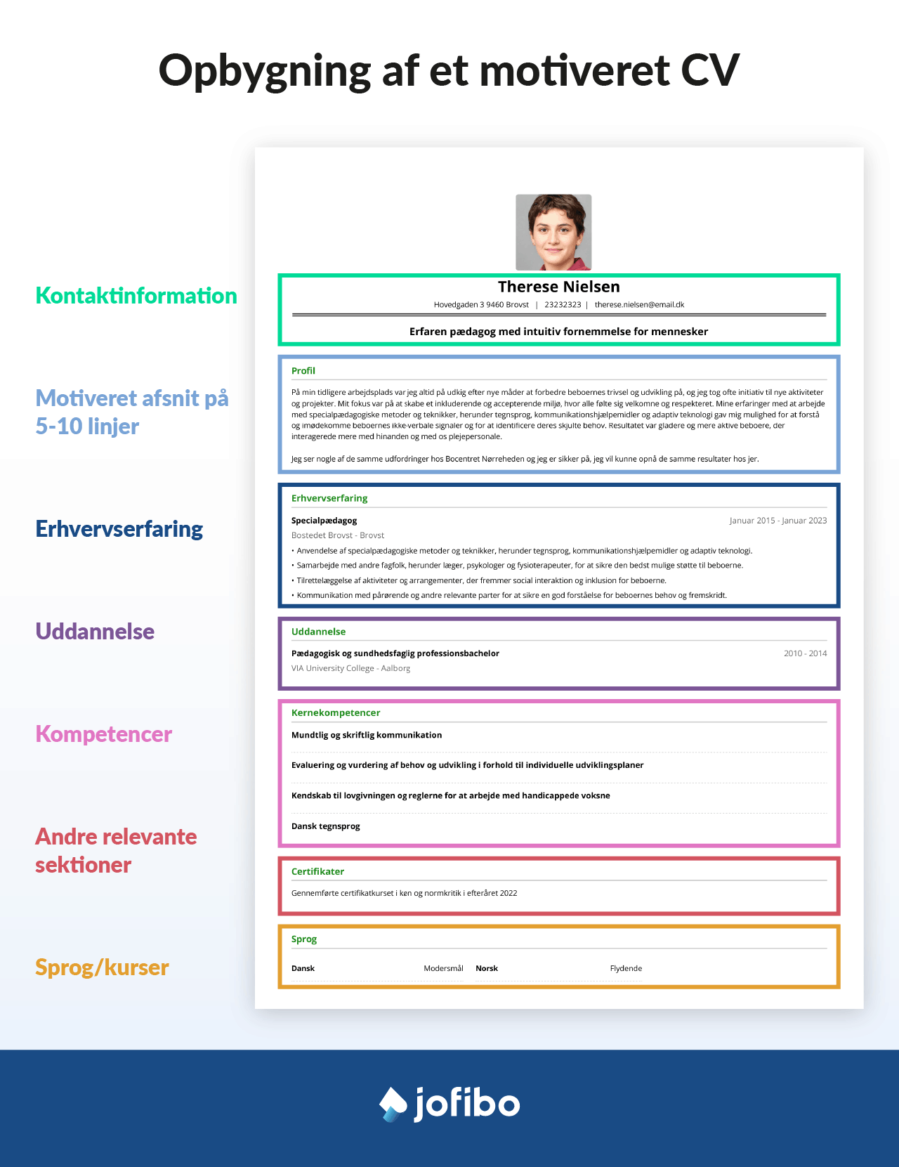 Billede af et motiveret CV med oversigt over de forskellige sektioner